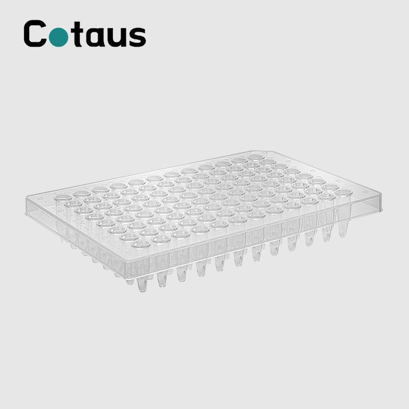 96 Well 0.2ml צלחת PCR חצי חצאית שקופה