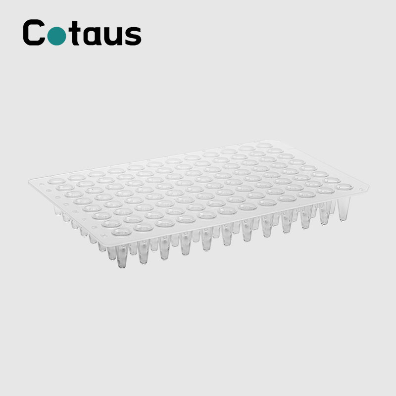 96 Well 0.1ml צלחת PCR Transparent ללא חצאית